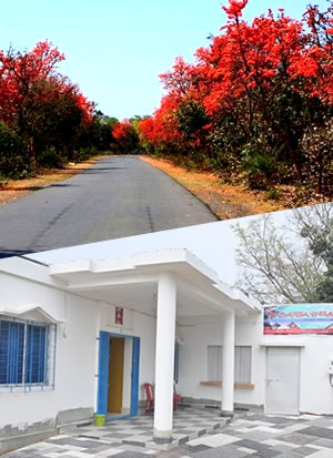 hotel-basanta-bilas-purulia